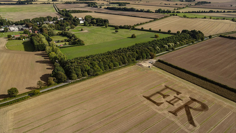 Aerial view of Queen's emblem in field of wheat
