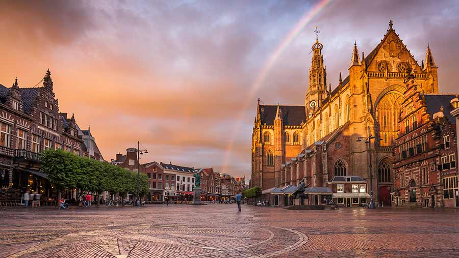 The ban applies to outdoor advertising in Haarlem © fotolupa/Adobe Stock