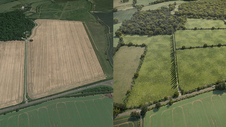 field comparison - before & after: