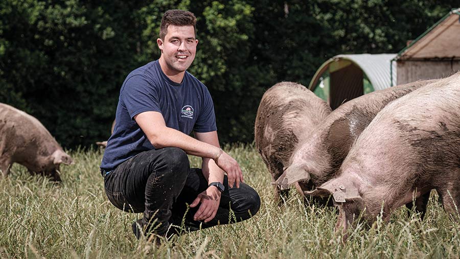 Man kneels with outdoor pigs