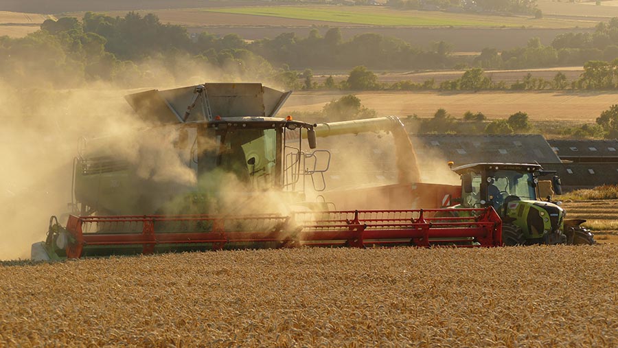 Harvest in field