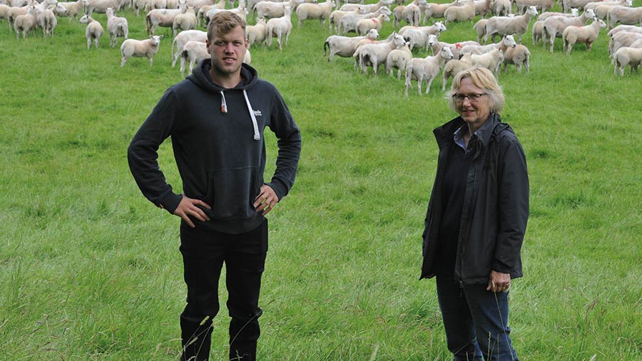 Two people in a field with ewes