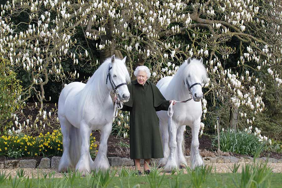 The Queen standsd between two white ponies