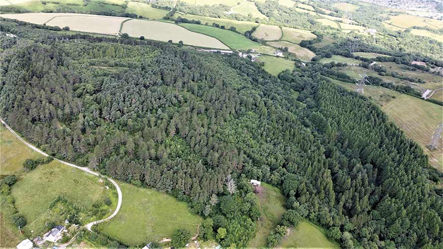 Waun y Gilfach