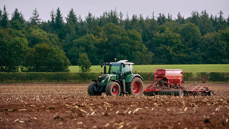 cultivated field