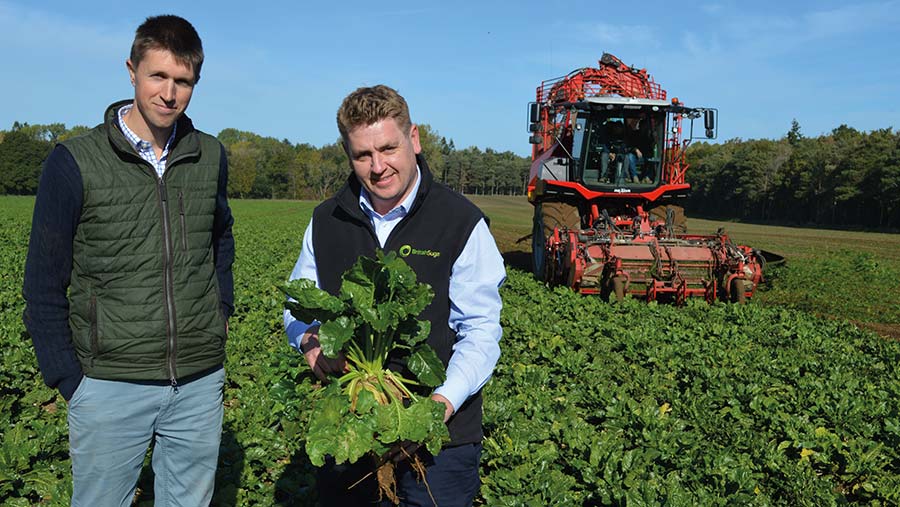 Andrew Peal and Nick Morris in sugar beet field