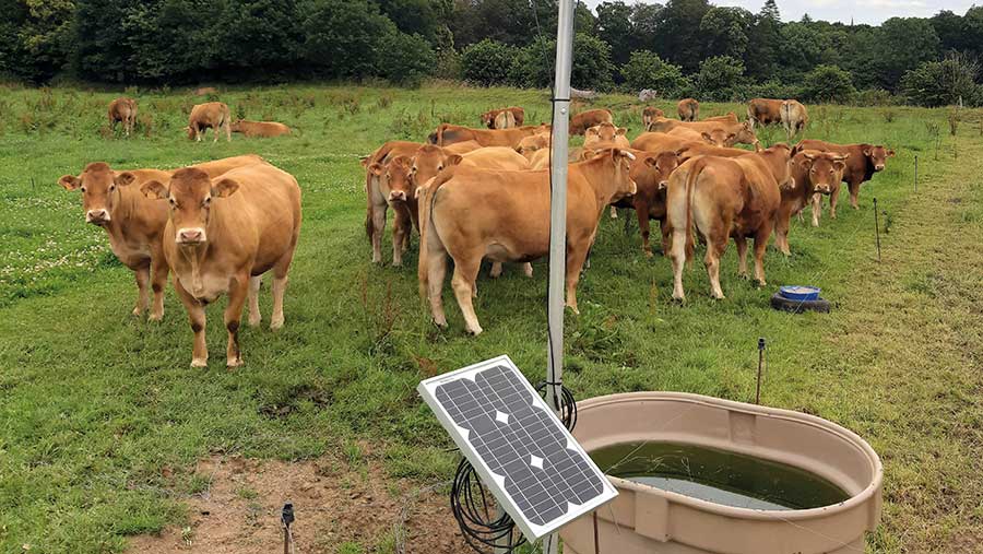 Copeeks Peek’ture pasture monitoring system