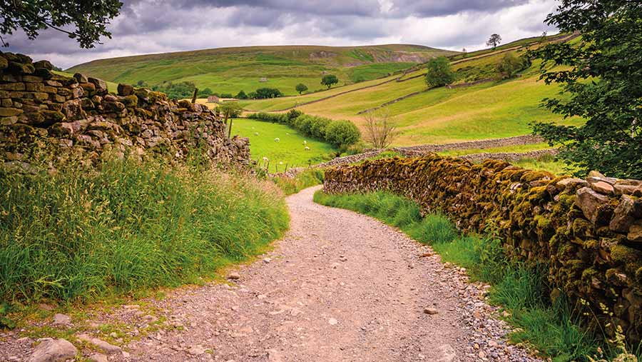 farm track