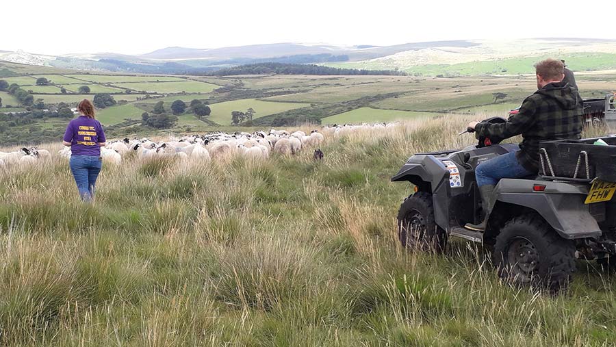 Tenant farmers hit by Natural England anti-grazing stance - Vimarsana News
