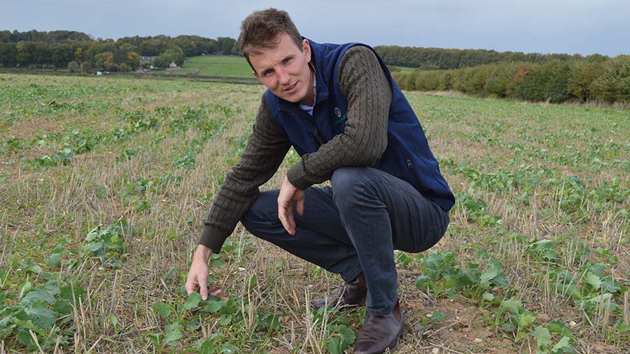 Agronomist Olly Pemperton in field