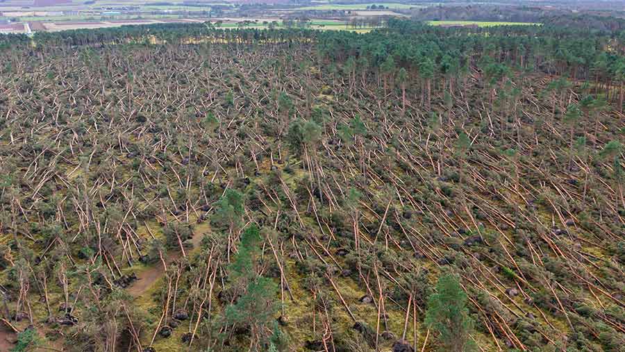 Storm Arwn. © Iain Masterton/Alamy Stock Photo