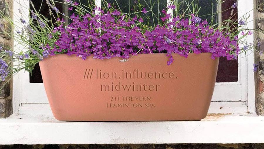 What3Words on plant pot with lavender