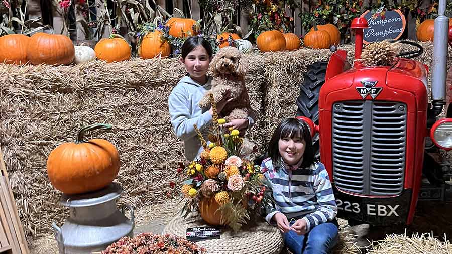 Children enjoying farm-front decorated with pumpkins