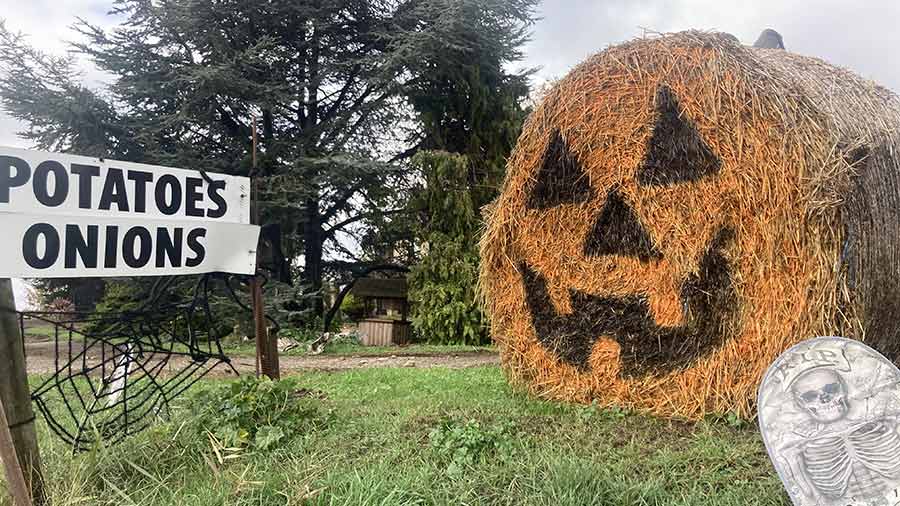Farm front decorated for Halloween, with pumpkin-themed bale