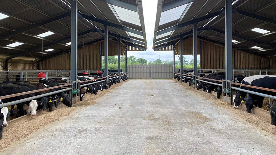 How A Calf Unit Has Reduced Antibiotics Use By 60 Farmers Weekly