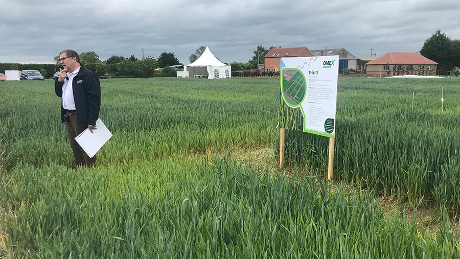 David at NitroShield plots