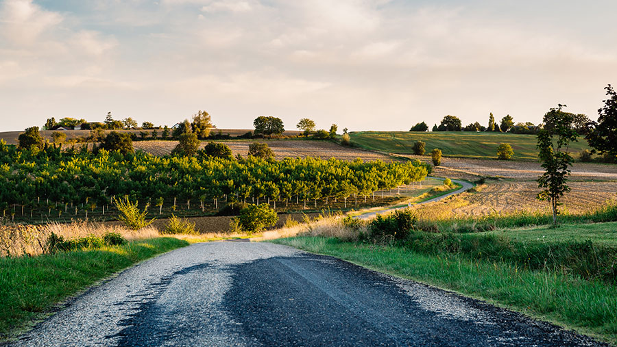 © Thomas Dutour/Adobe Stock