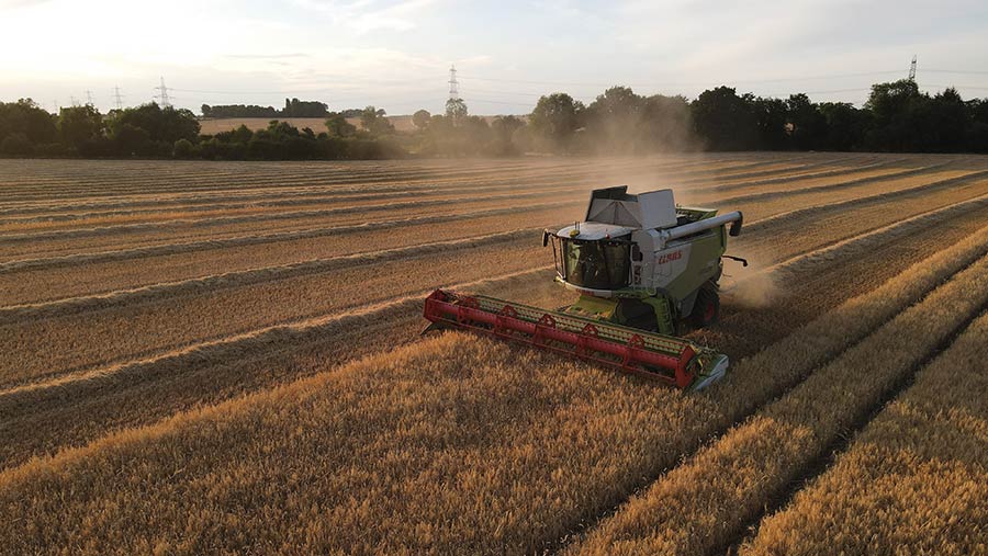 Barley harvest