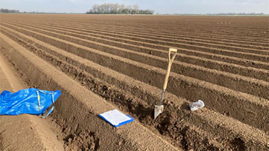 shovel in soil