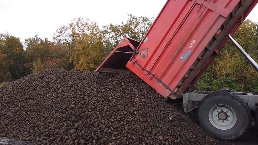 Potatoes being offloaded