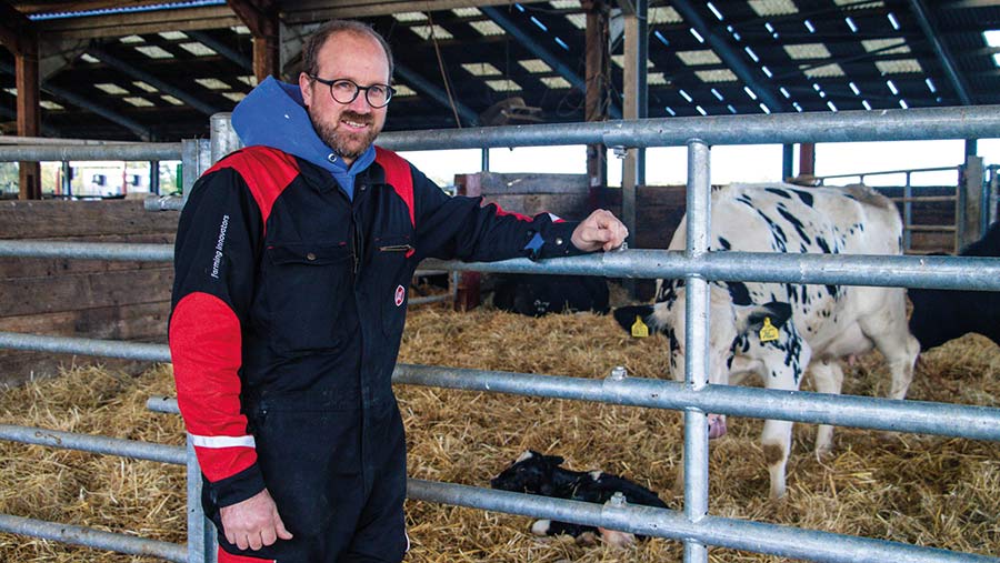 Herdsman Liam Tierney with cow