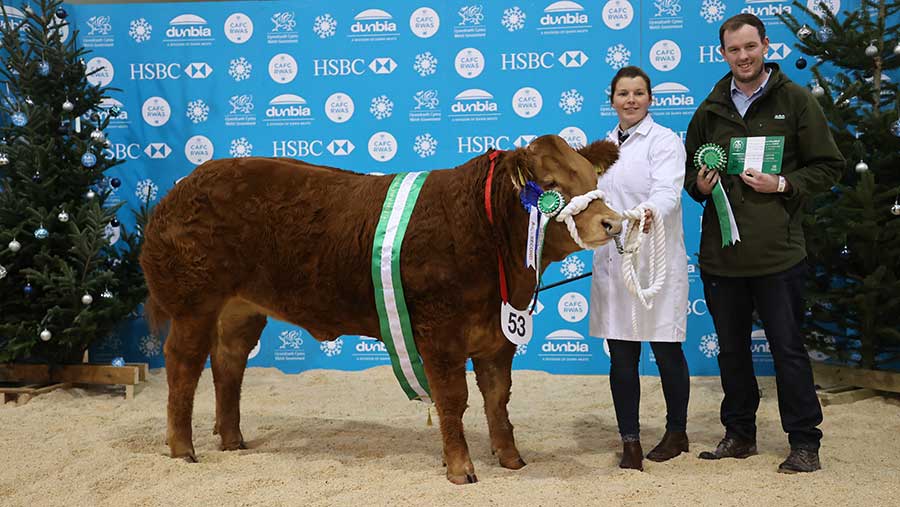 Derg Sassygirl with co-owners Katrina Little and Allen Shortt © Welsh Winter Fair