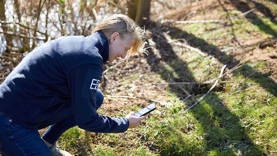 Woman from Environment Bank taking photo in field