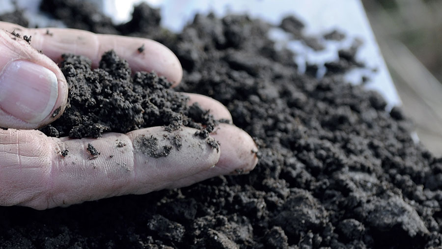spade soil
