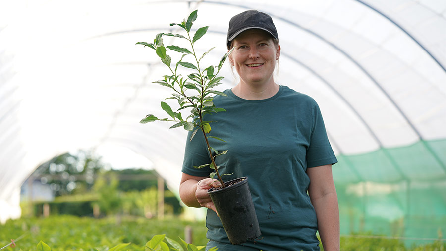 Lucy in one of the tea polytunnels