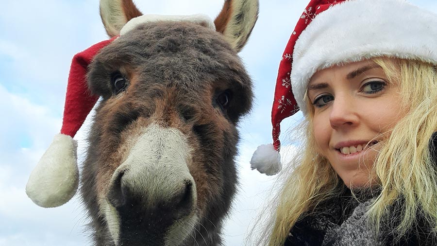 Claire and Buddy feeling festive - photo uploaded to our Christmas gallery by Claire Evans Watkin
