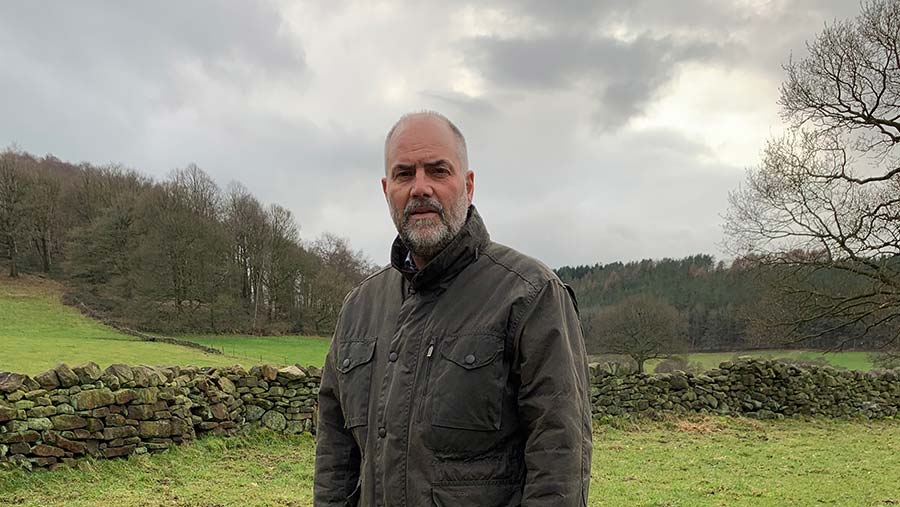 Man in a field with dry stone wall