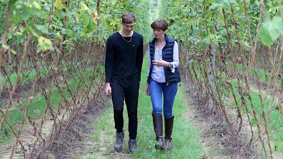 Ali Capper with a student worker in a hop yard