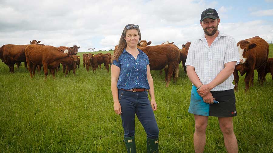 How M&S is trialling environmentallypositive farming Farmers Weekly