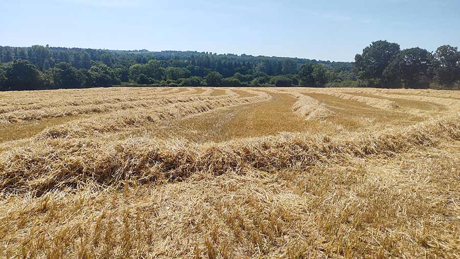 Targeting Use Of Limited Straw Bedding, Helping farmers in Scotland