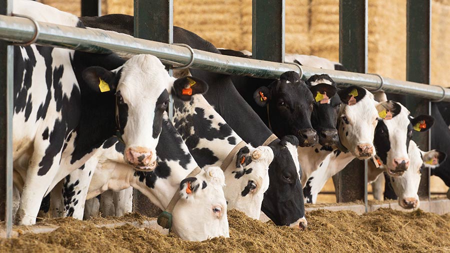 High-yielding herds top efficiency stakes – but beware of low fertility ...