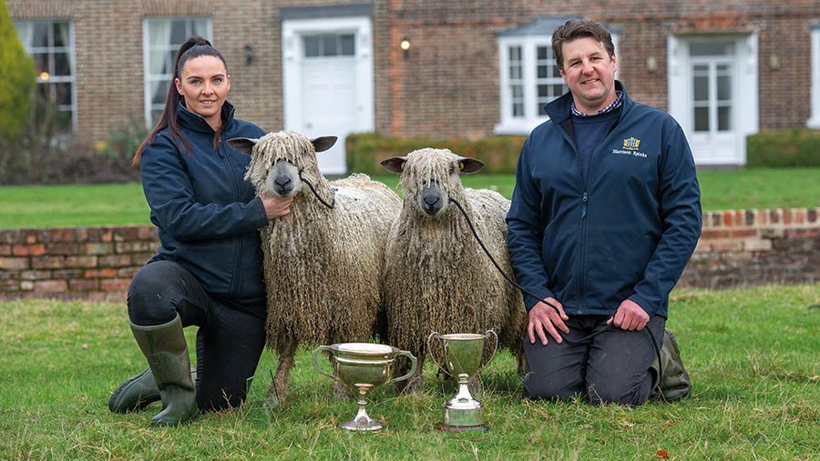 Becky and Liam McPartland  kneeling with sheep and trophies