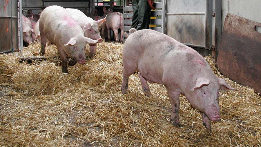 Producers warned over straw feed - Farmers Weekly