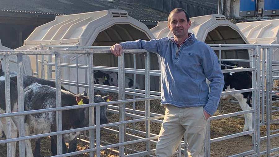 Farmer leaning on calf fencing