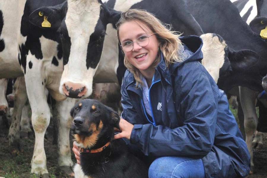 Farmer with her collie and dairy cows