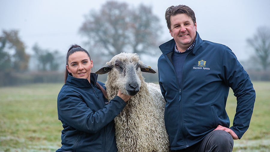 Couple in a field with a sheep