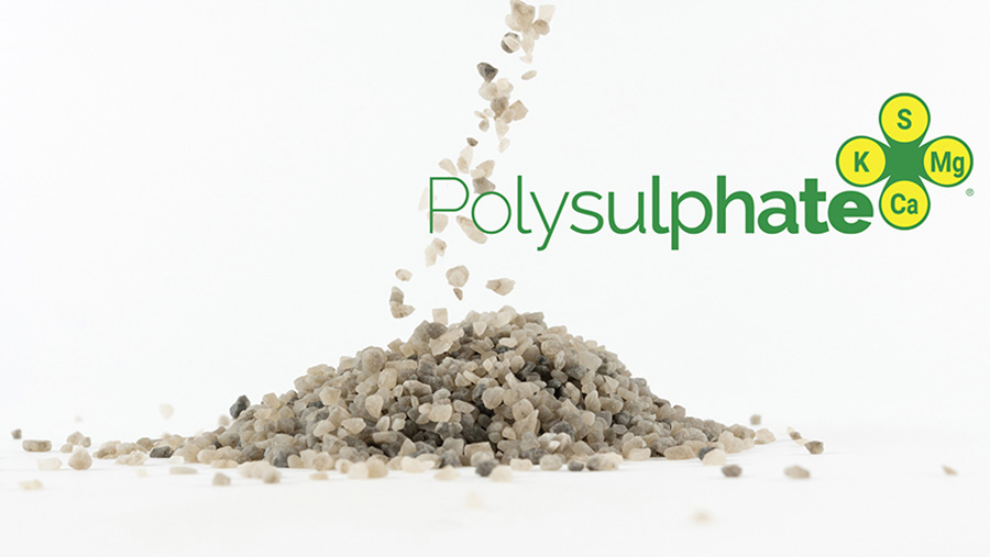 A graphic of polysulphate