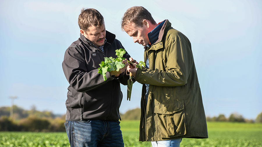 Rob Nightingale and Rob Scott