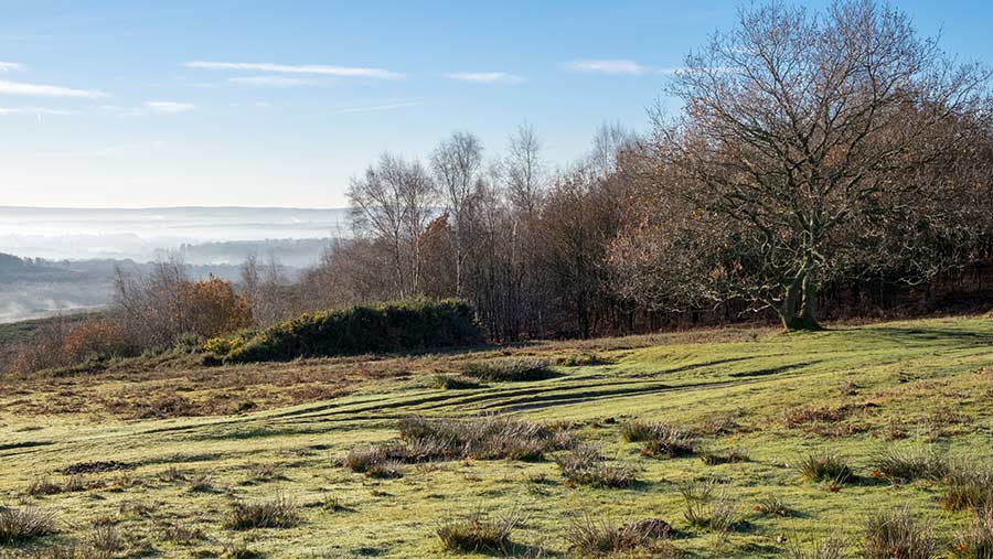 The Sussex Weald © PhilipBird123/Adobe Stock