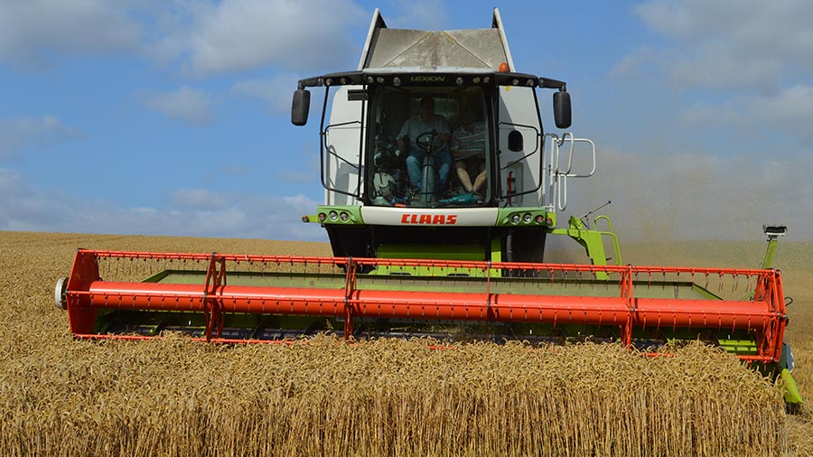 Wheat harvesting at Tim Lamyman's farm © MAG/David Jones