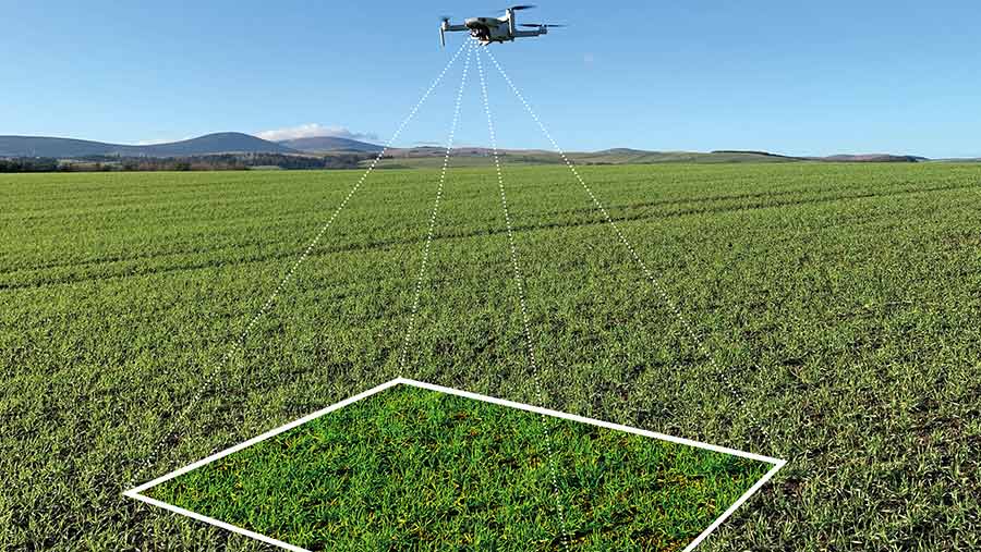 Drone flying over a field with an overlay showing an area to be analysed
