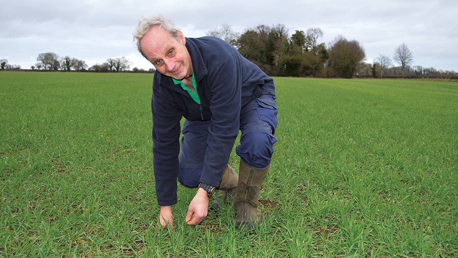 Chris Eglington with his wheat crop © MAG/David Jones