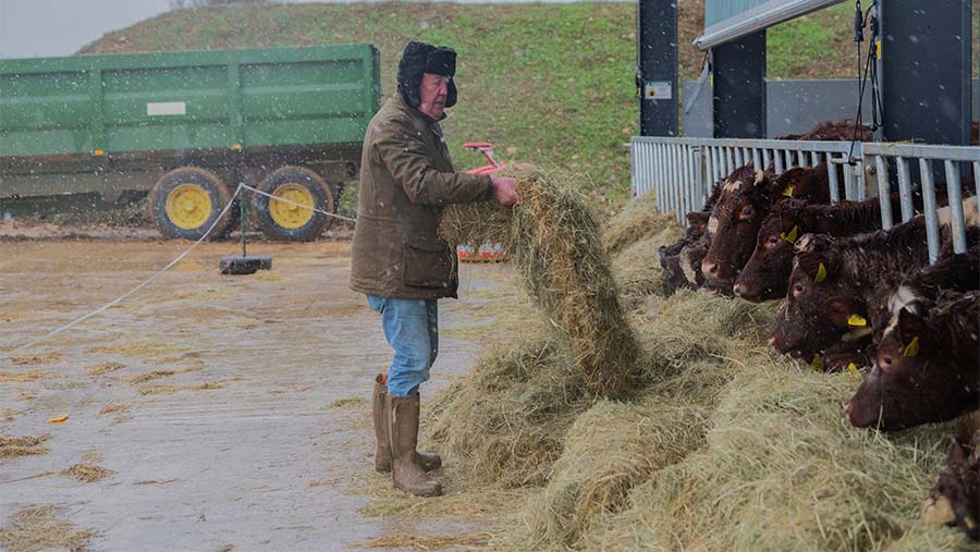 Jeremy Clarkson with cattle