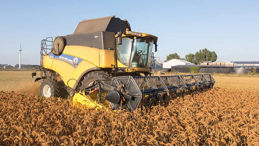 Harvesting millet