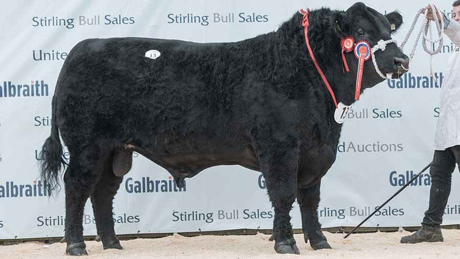 Tonley Endgame from Neil Wattie topped the day's trade at 24,000gns © Tim Scrivener