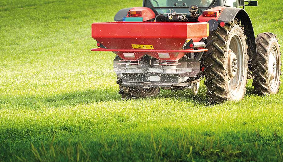 © Dusan Kostic/Adobe Stock